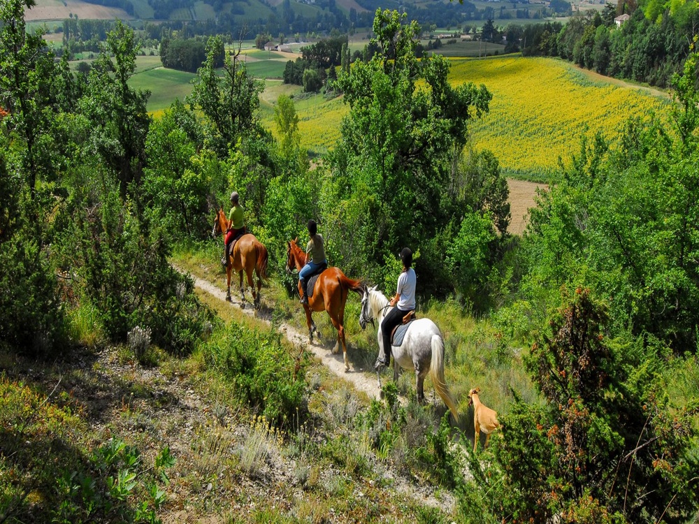 Equestre1
