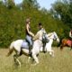 Equestre2