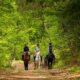 Equestre3