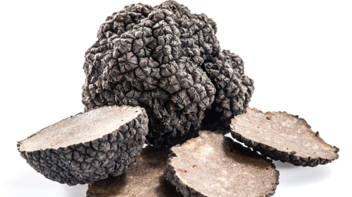 La-truffe2