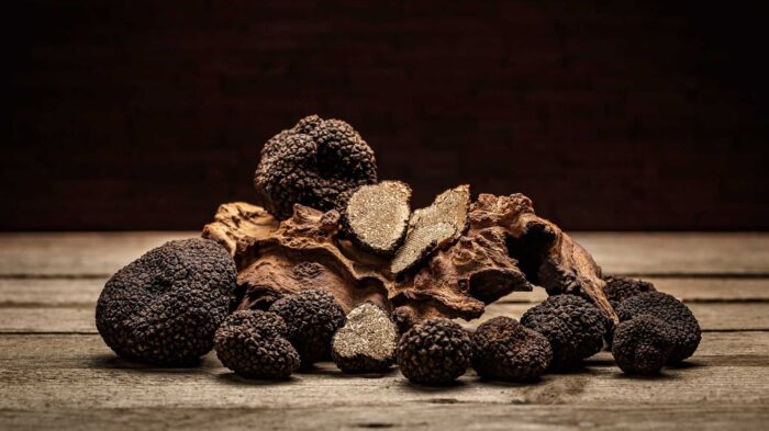 La-truffe3